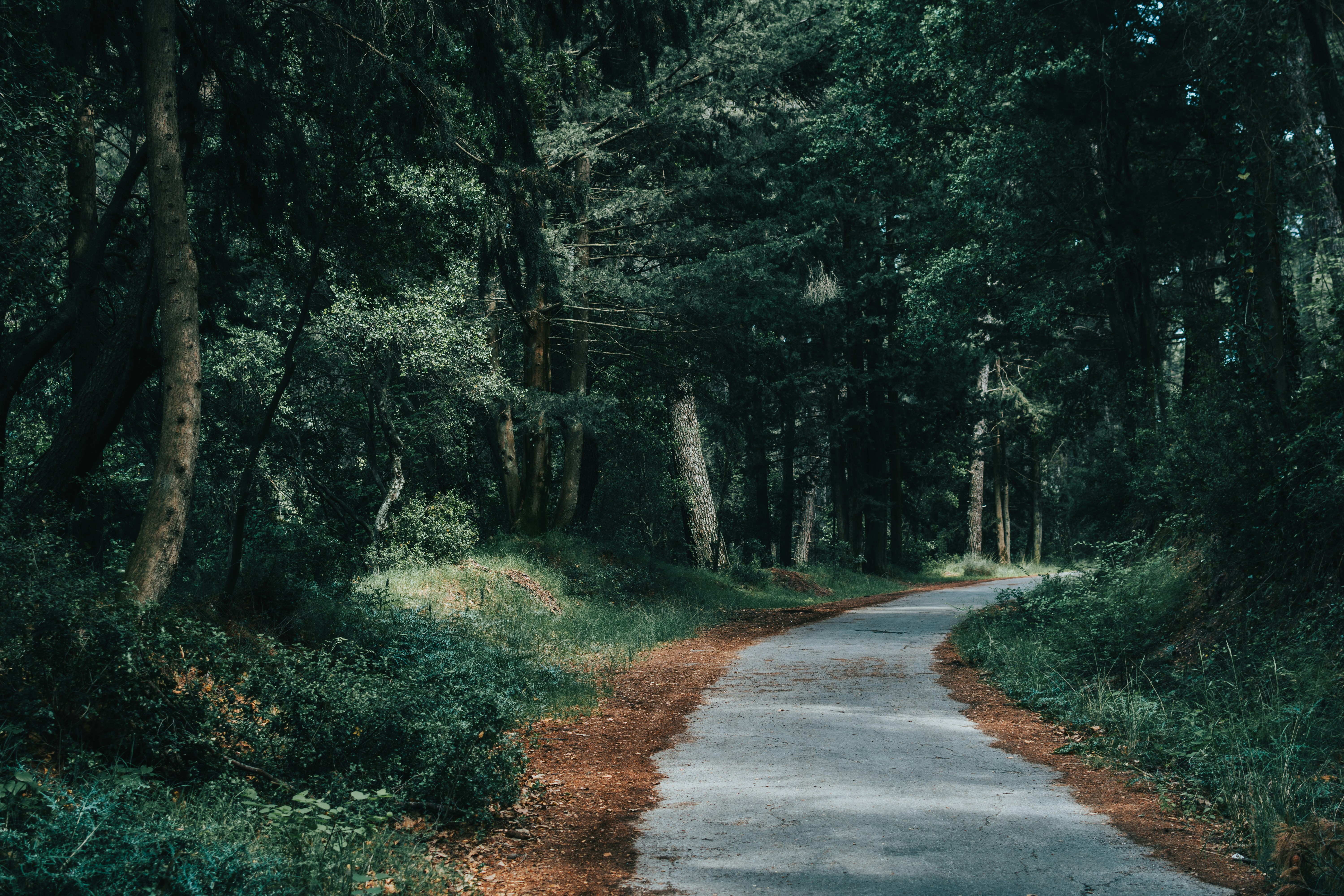 Crisp.chat's Audacious Move: Rejecting a 10x Buyout