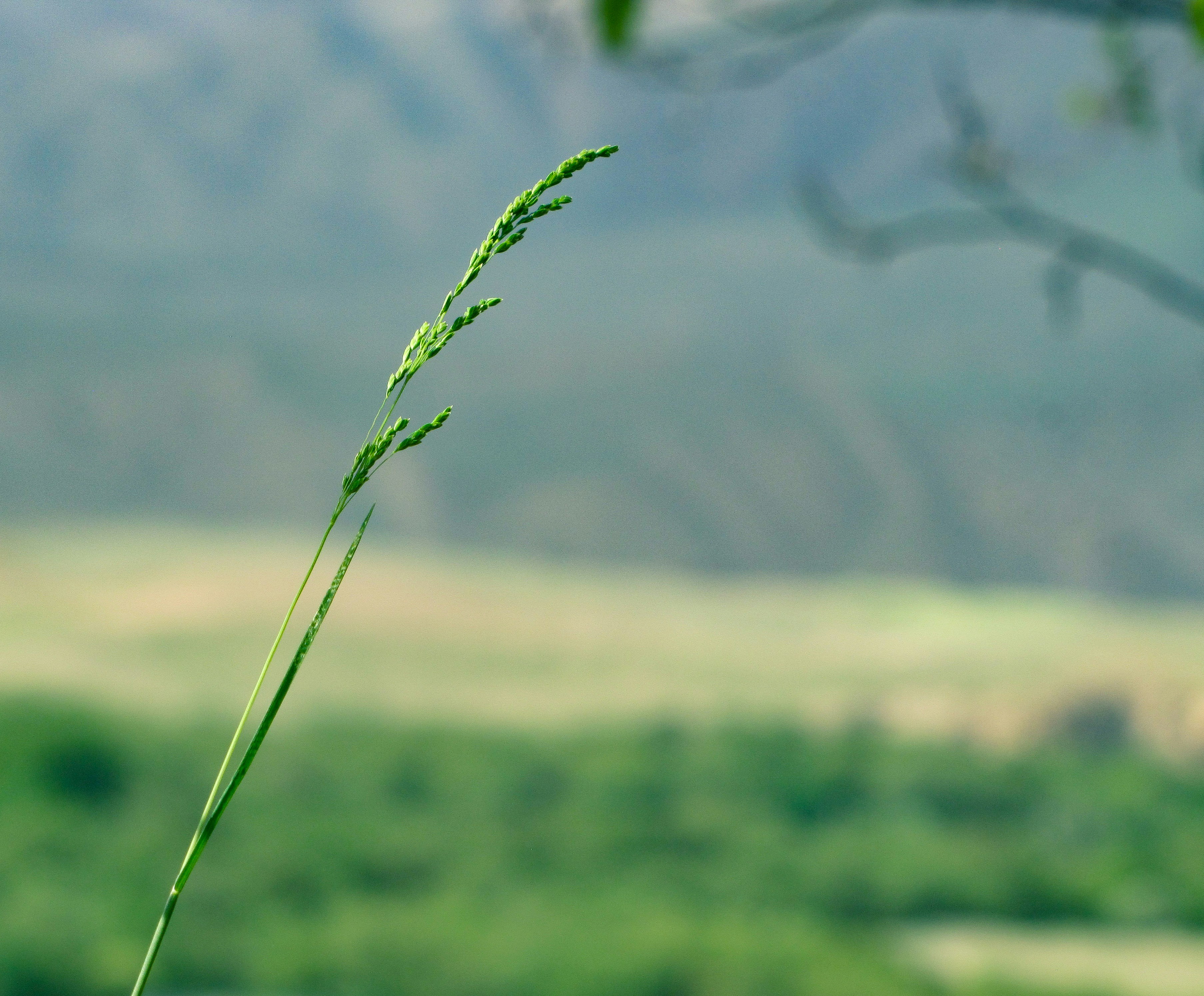 Photo by nasimkeshmiri