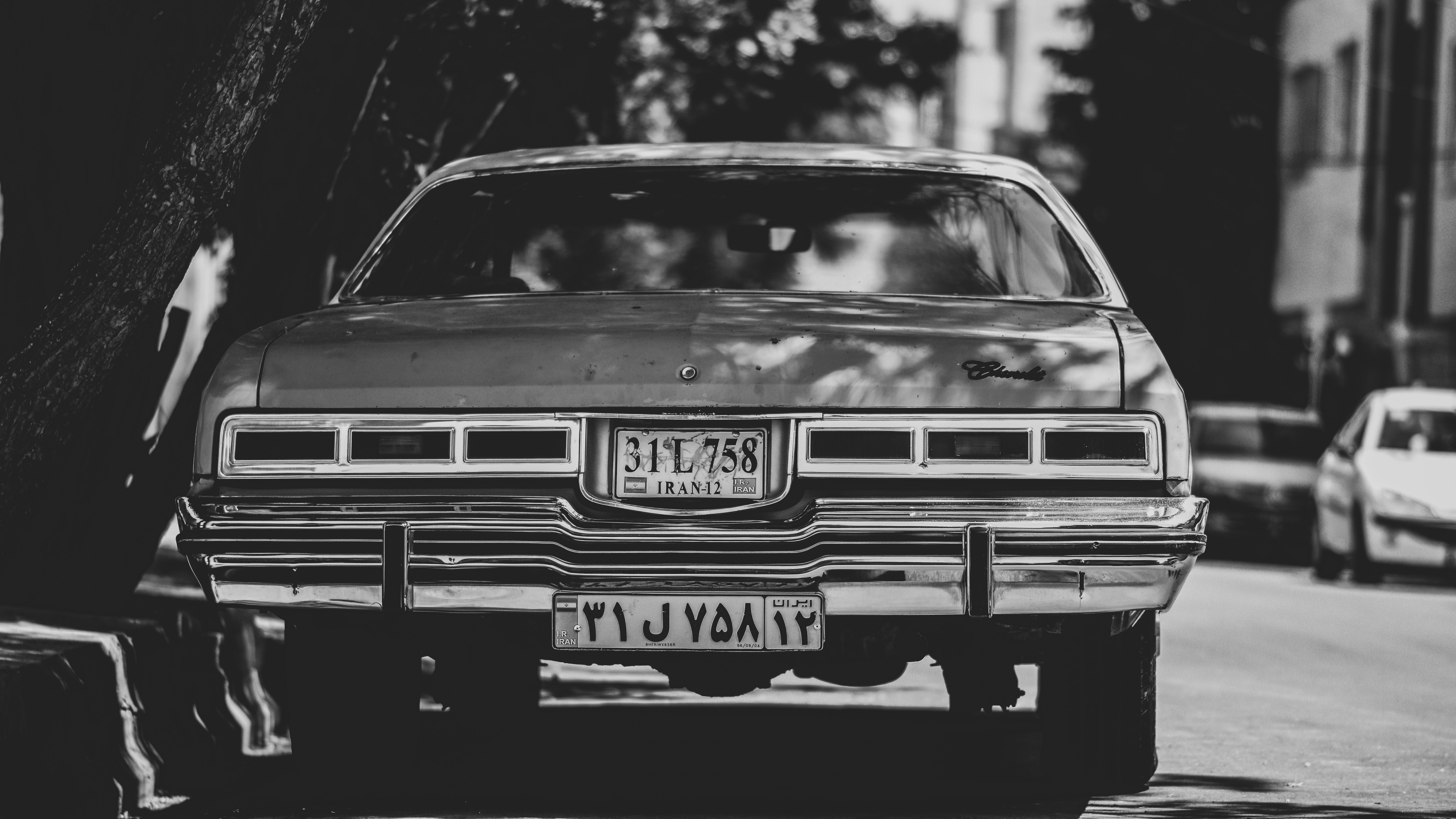 Photo by alirezairajnia