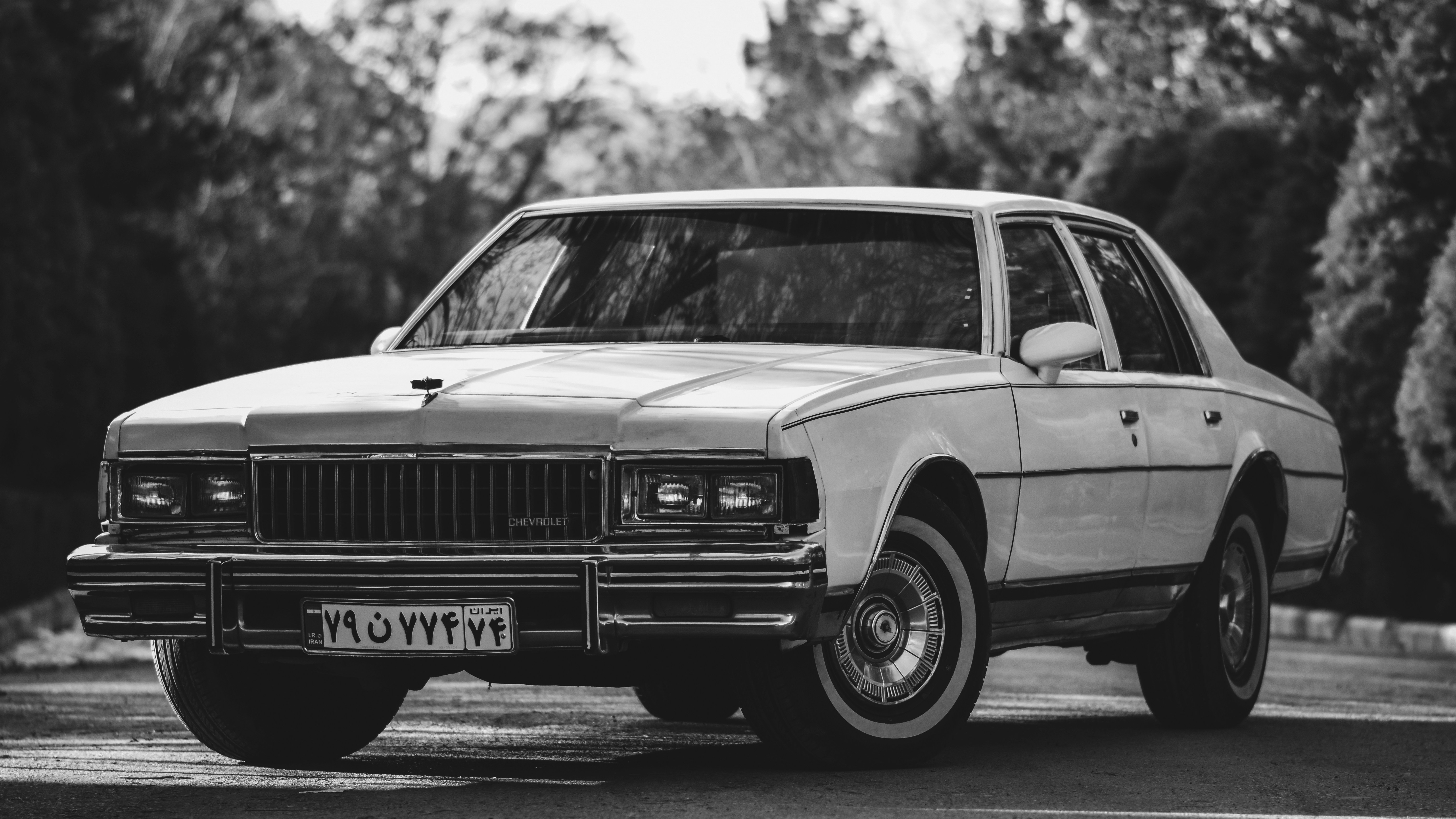 Photo by alirezairajnia