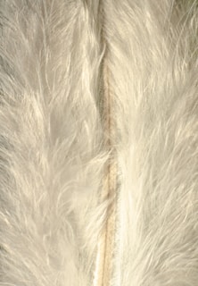 white fur textile on brown textile