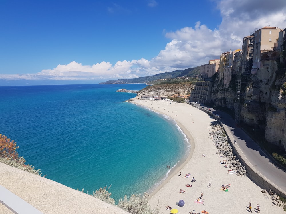 people on beach during daytime