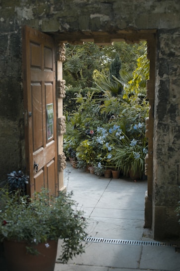green plants beside brown wooden door