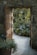 green plants beside brown wooden door