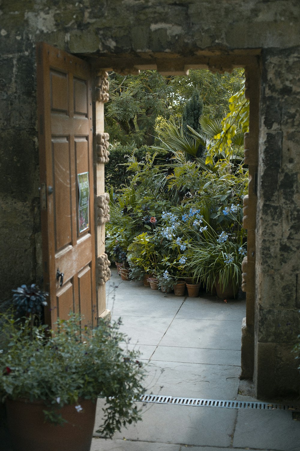 茶色の木製のドアの横の緑の植物