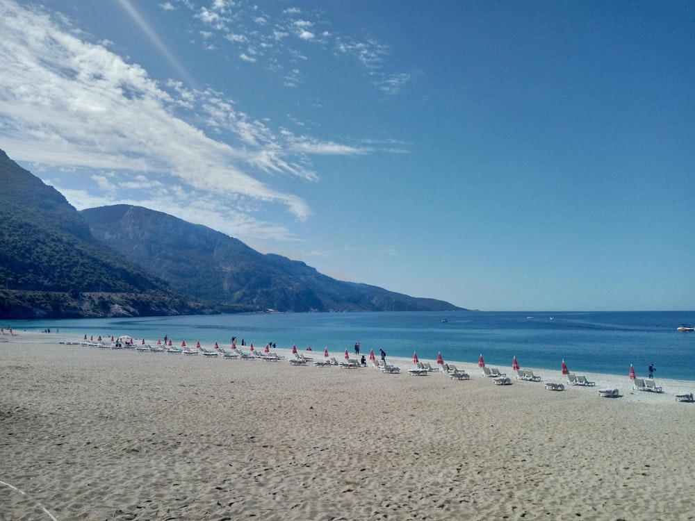 people on beach during daytime