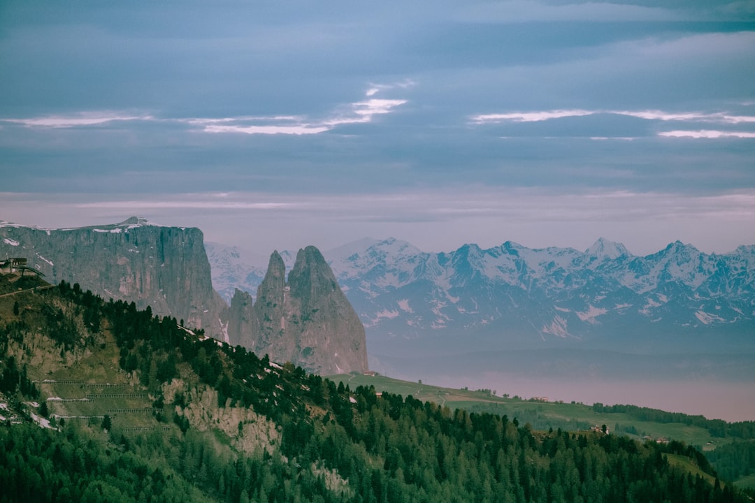 green trees on mountain under white clouds during daytime