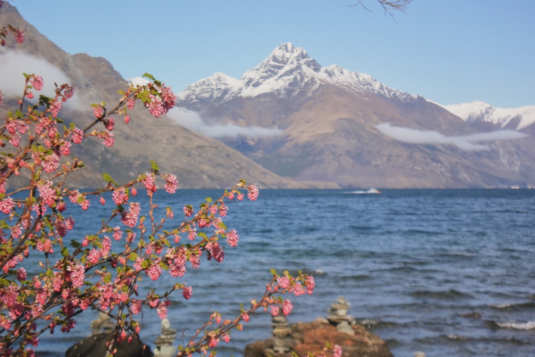 Hill station photo spot Queenstown Fiordland National Park