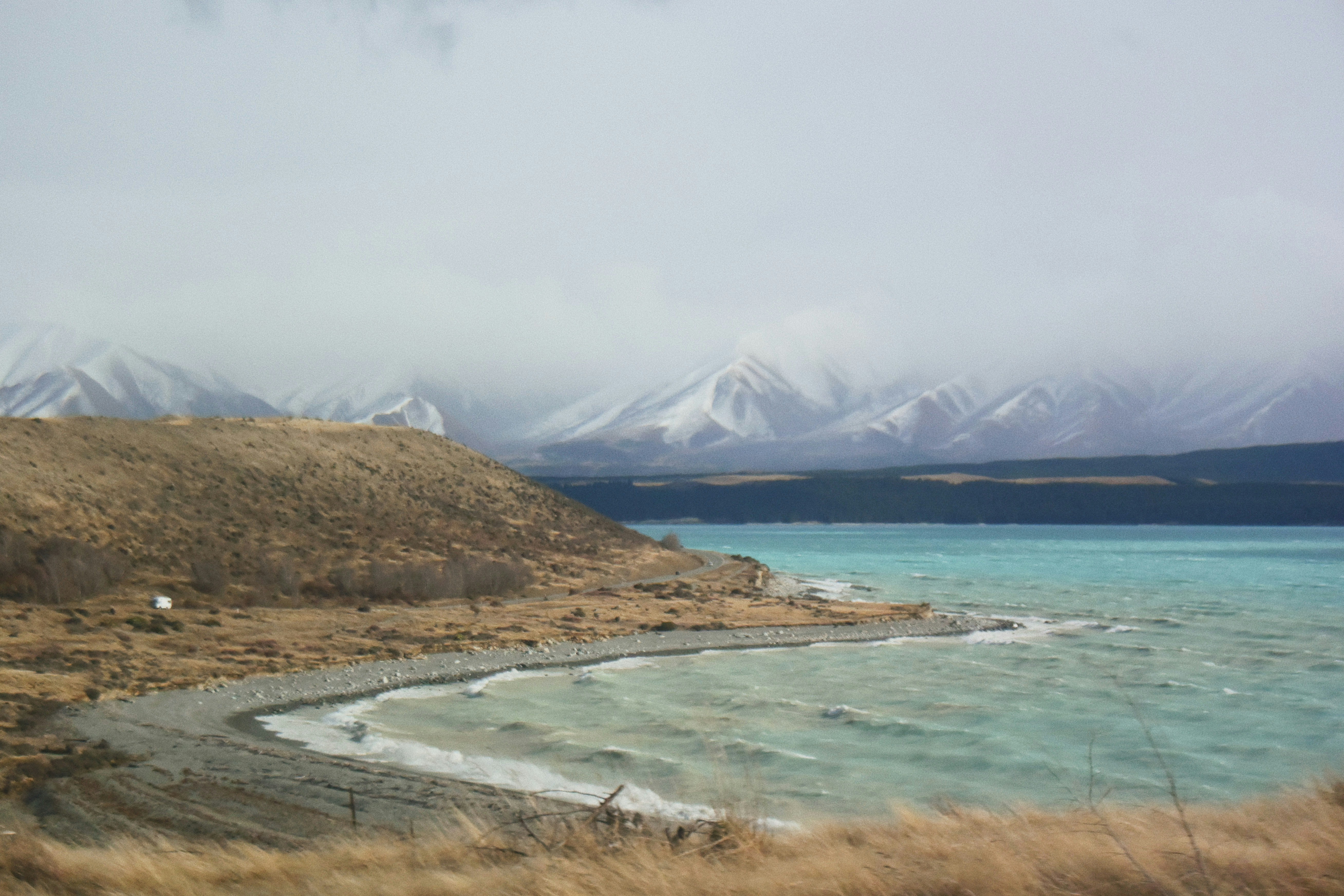 green and brown field near body of water during daytime
