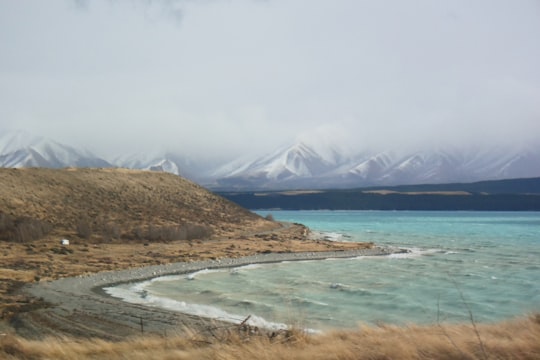 green and brown field near body of water during daytime in Lake Pukaki New Zealand
