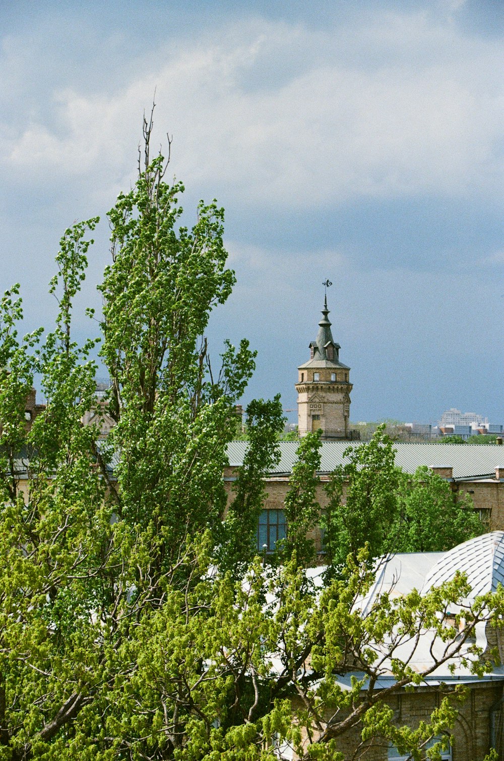 green tree near white concrete building during daytime