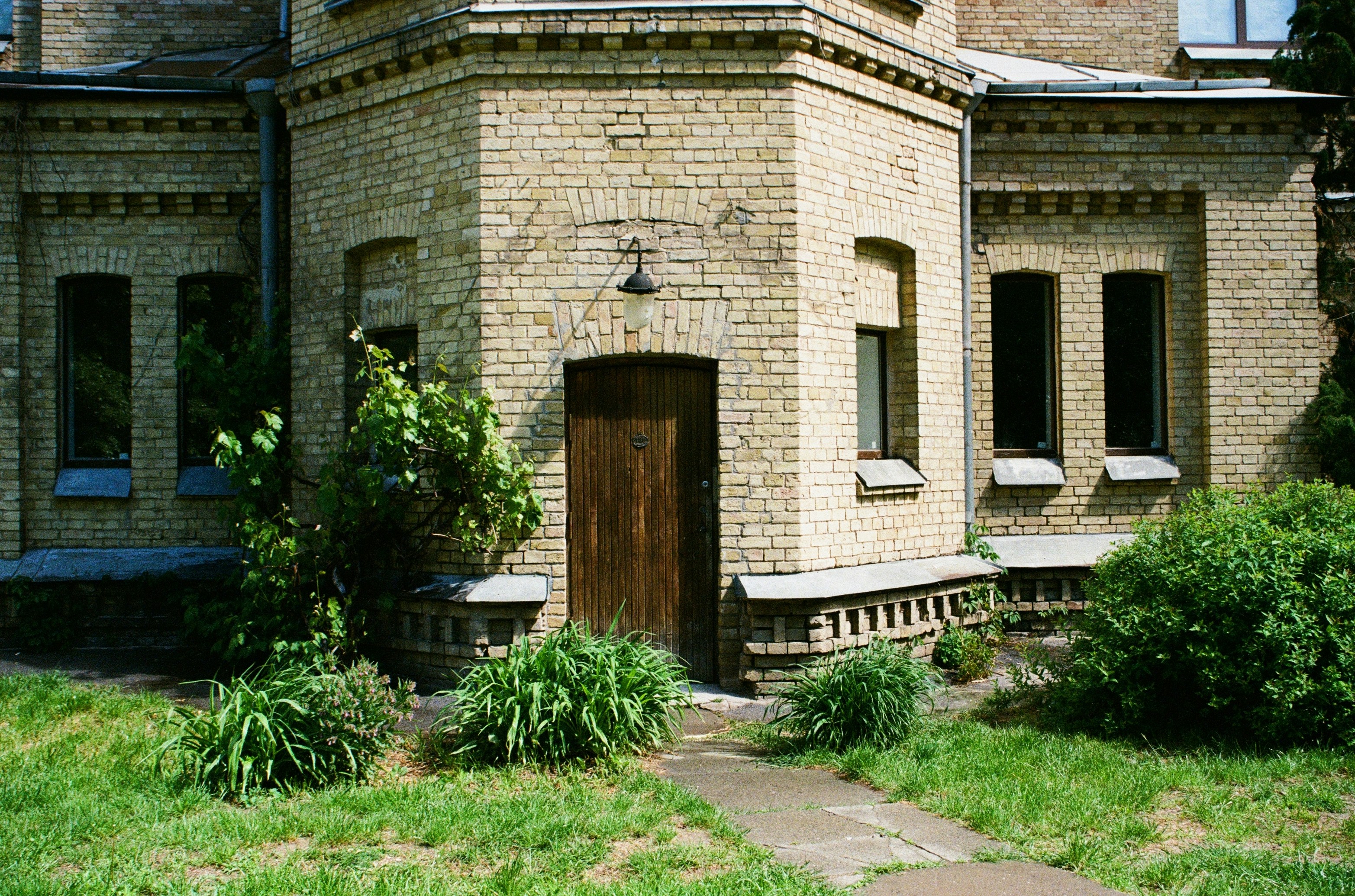 Banco de madera marrón cerca del césped verde