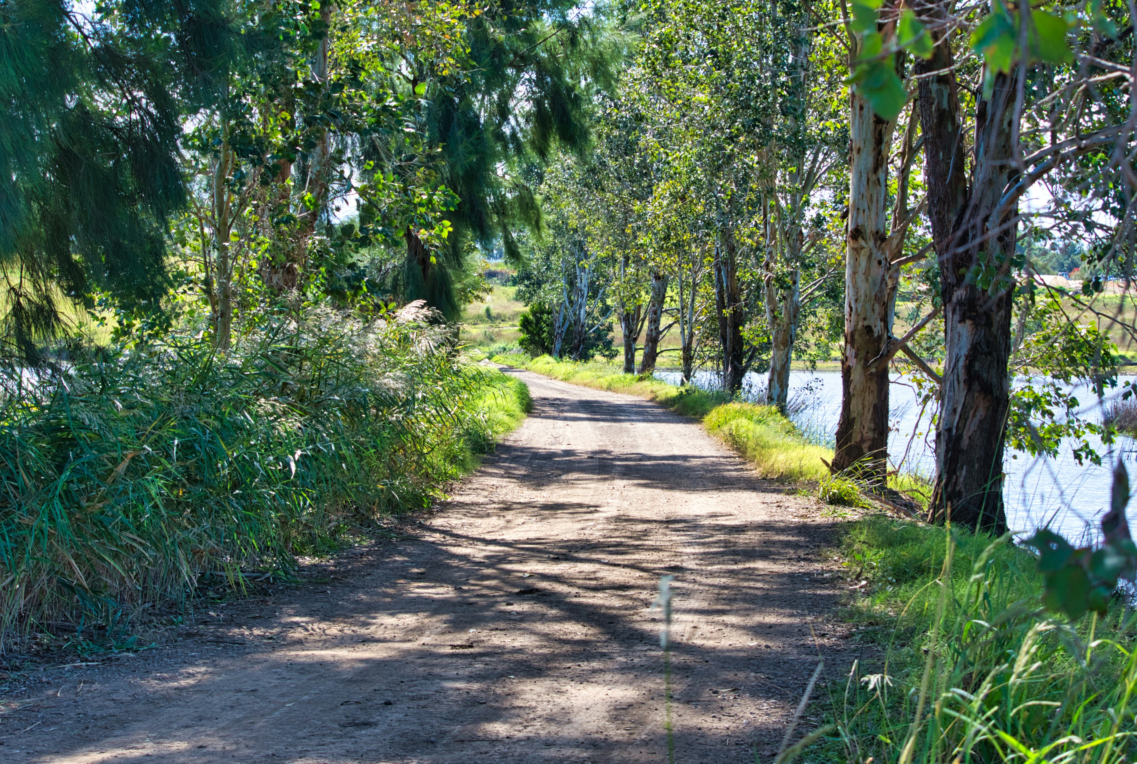 Desert Blossom Wives Club's image