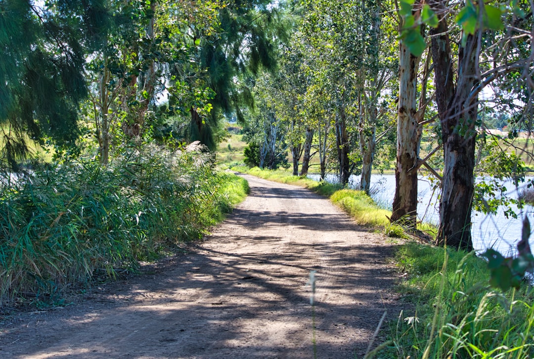 Forest photo spot Bushells Lagoon Mona Vale