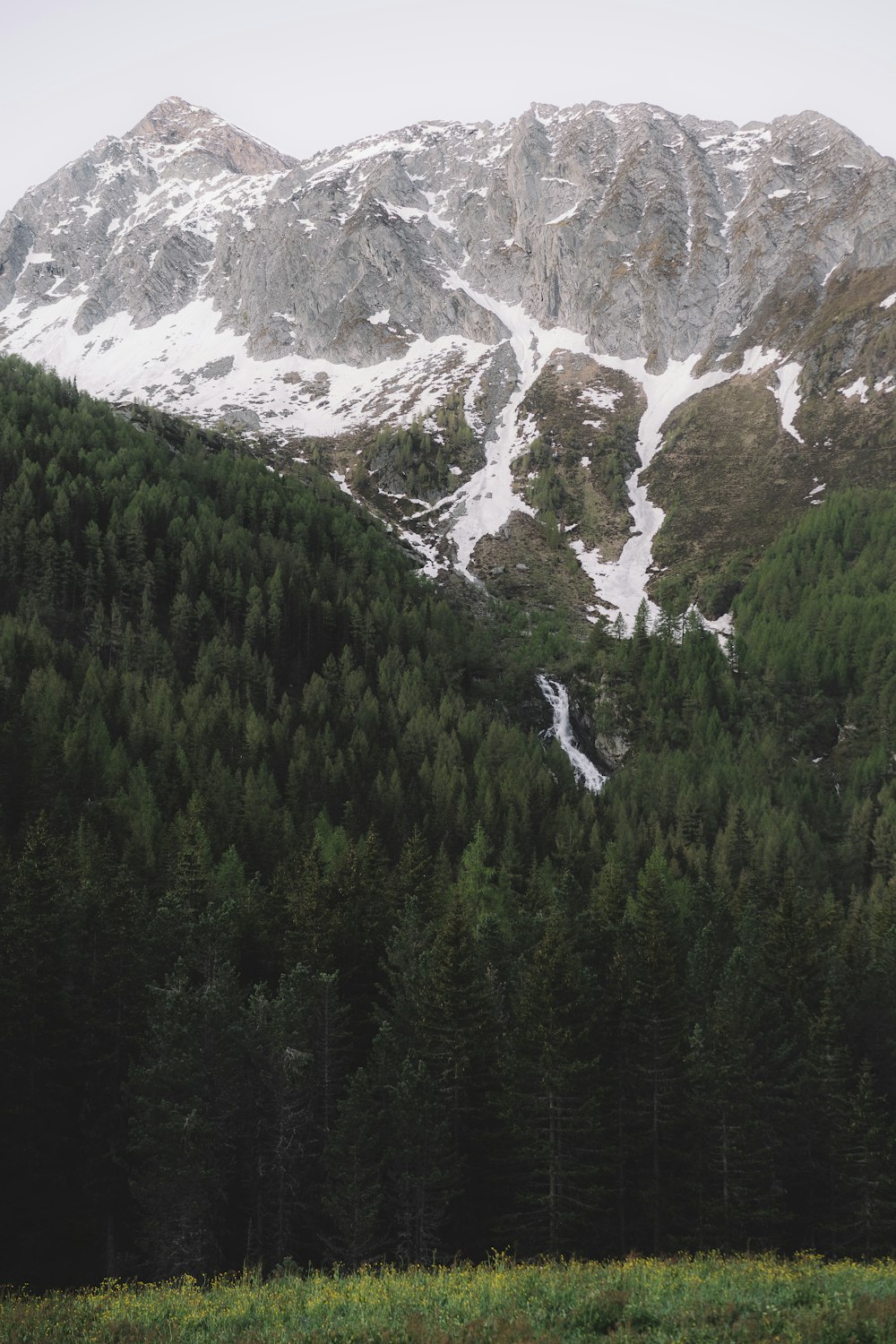 green trees near snow covered mountain during daytime