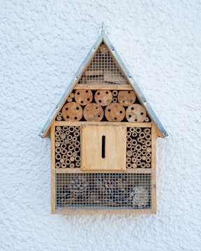 brown wooden bird house on white wall