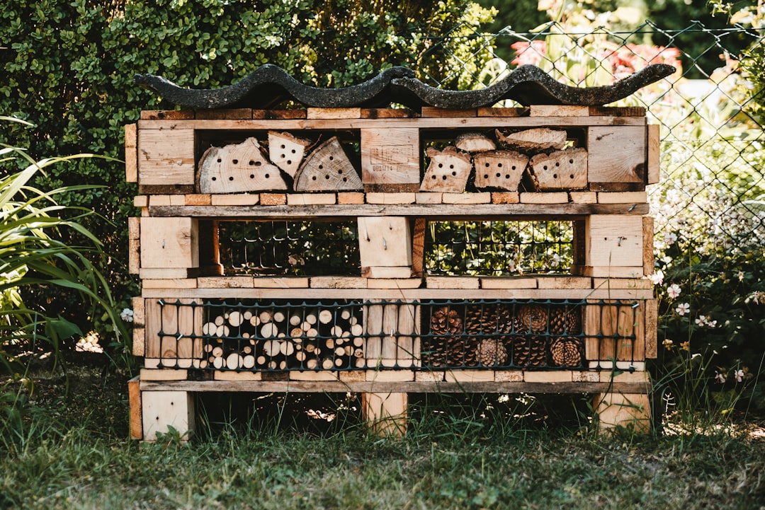 black berries on brown wooden crate