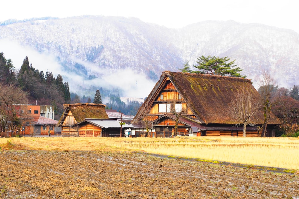 Braunes Holzhaus in der Nähe von grünem Grasfeld und Berg tagsüber