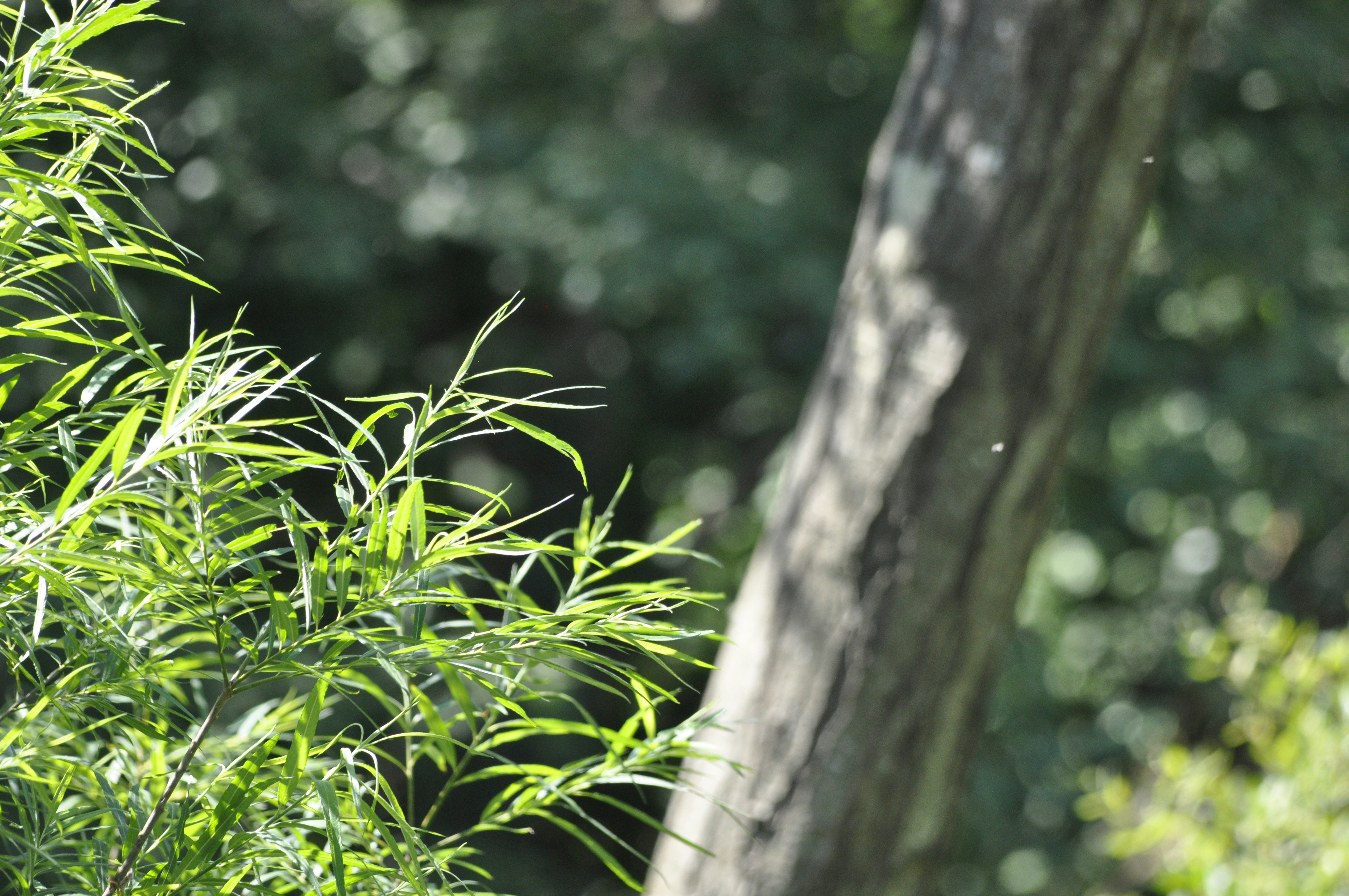 Photo by simonmharmer