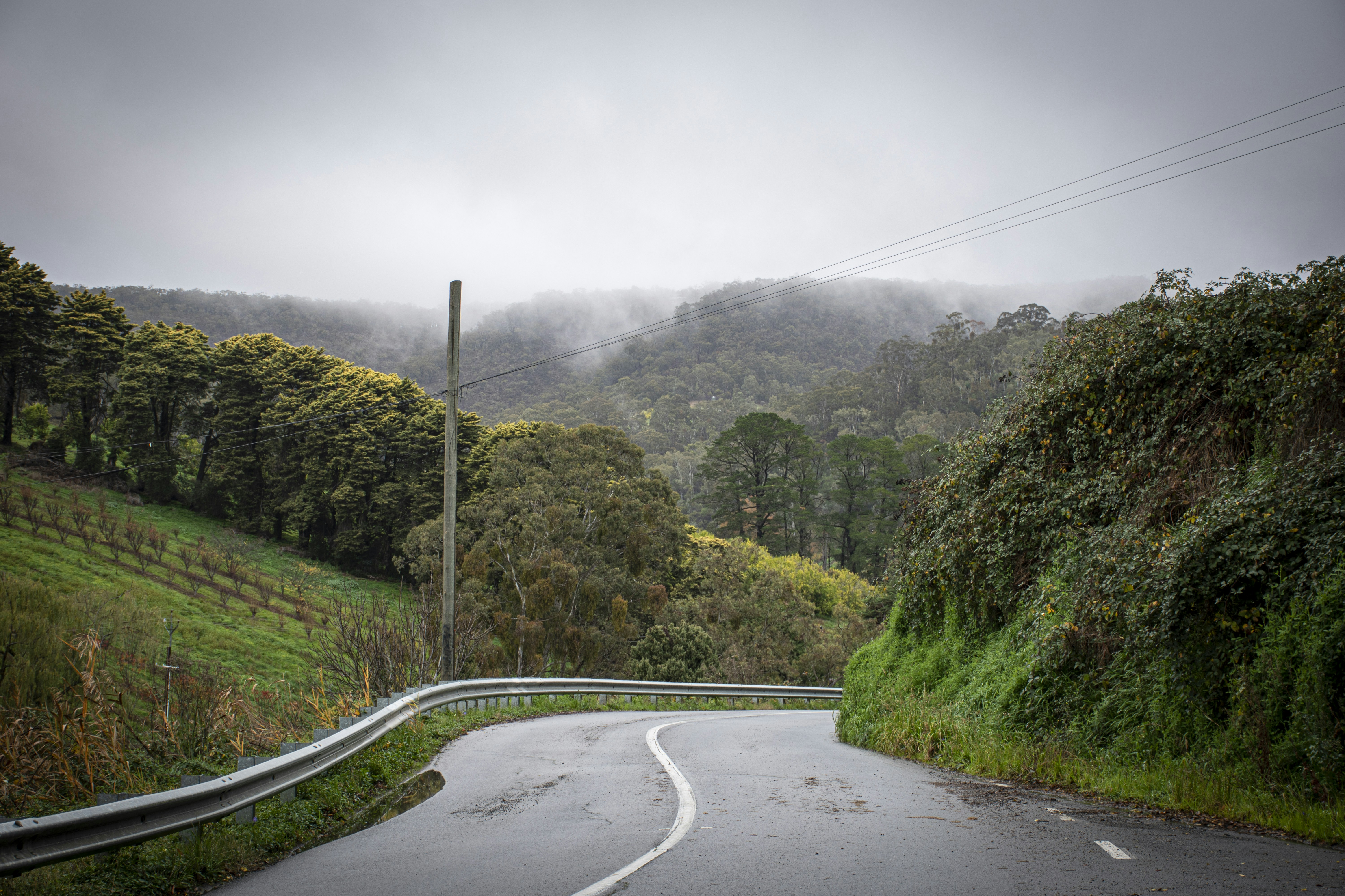 Rostrevor, South Australia
