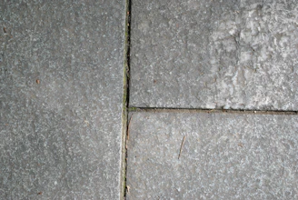 Detailed view of paver joints sealed and protected by Escon Chemical Co's finishing chemicals.