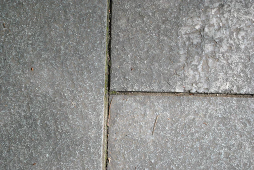 Detailed view of paver joints sealed and protected by Escon Chemical Co's finishing chemicals.
