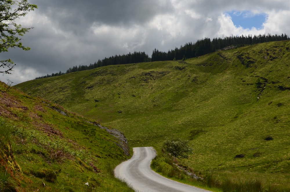 gray concrete road between green grass field under cloudy sky during daytime