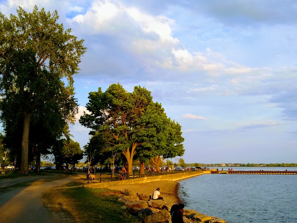 people sitting on bench near body of water during daytime