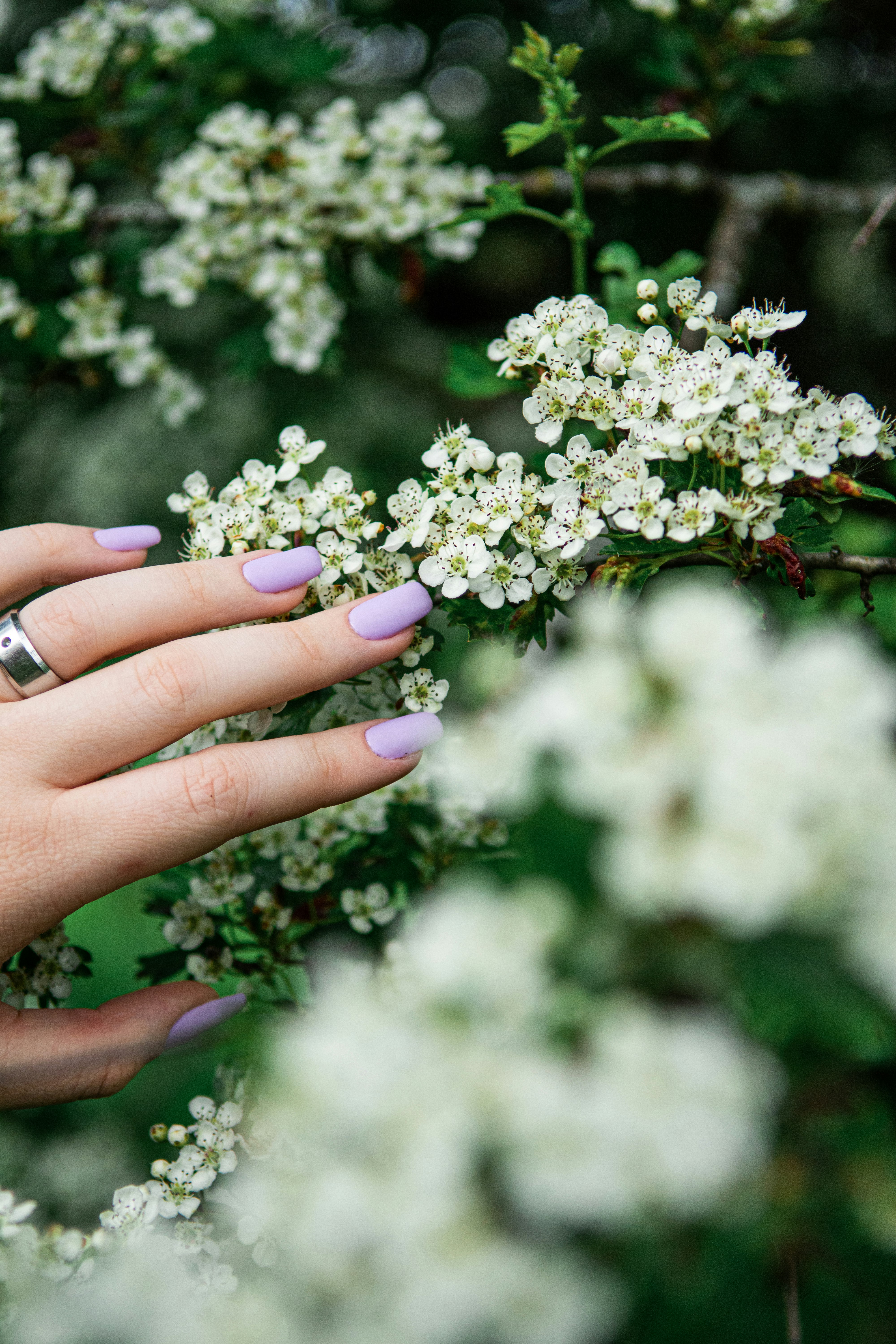 Ski-themed gel manicure at Powder Day Nails
