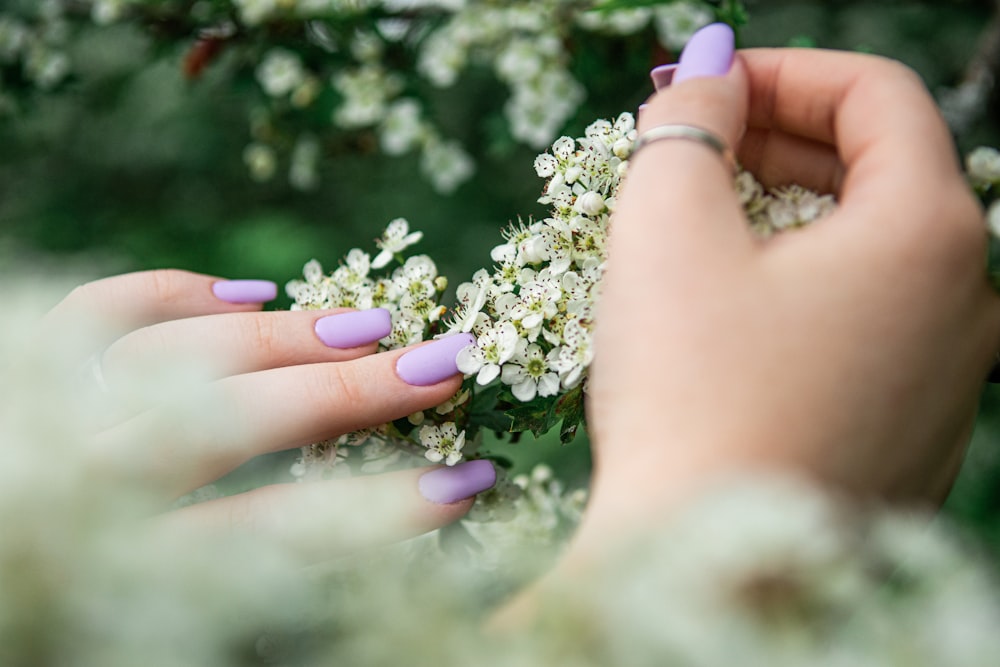 person holding white flower during daytime