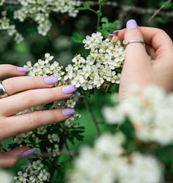 person holding white and yellow flowers