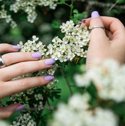 person holding white and yellow flowers