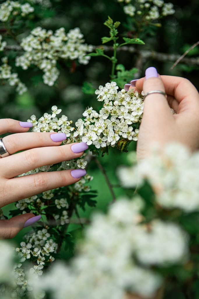 Lavender Star Dots
