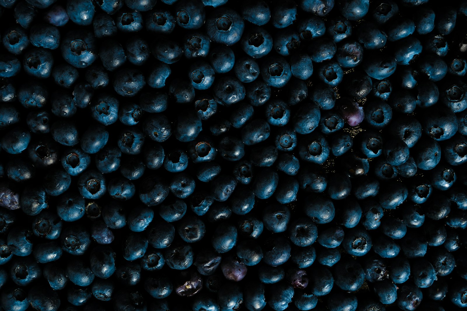 Sony a7 III + Sigma 40mm F1.4 DG HSM Art sample photo. Black round fruits on photography