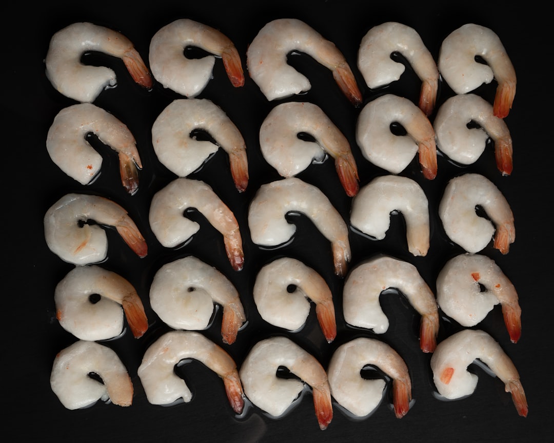 white and brown birds on black background