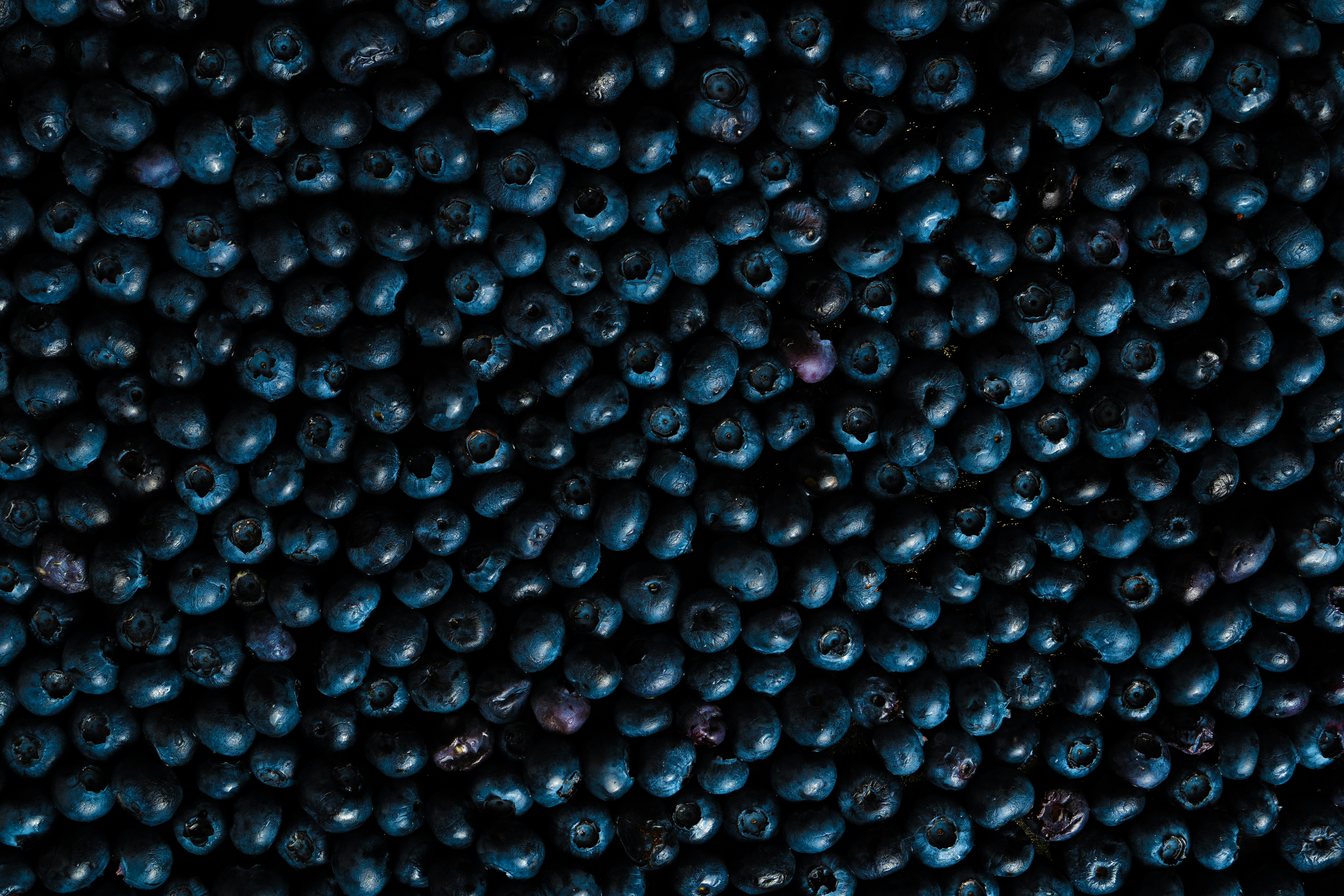 Photo by ballaschottner