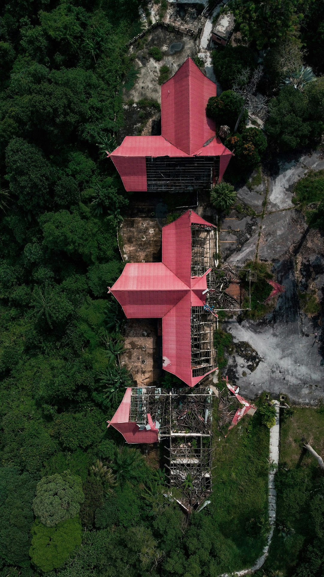 red and brown roof on top of green trees