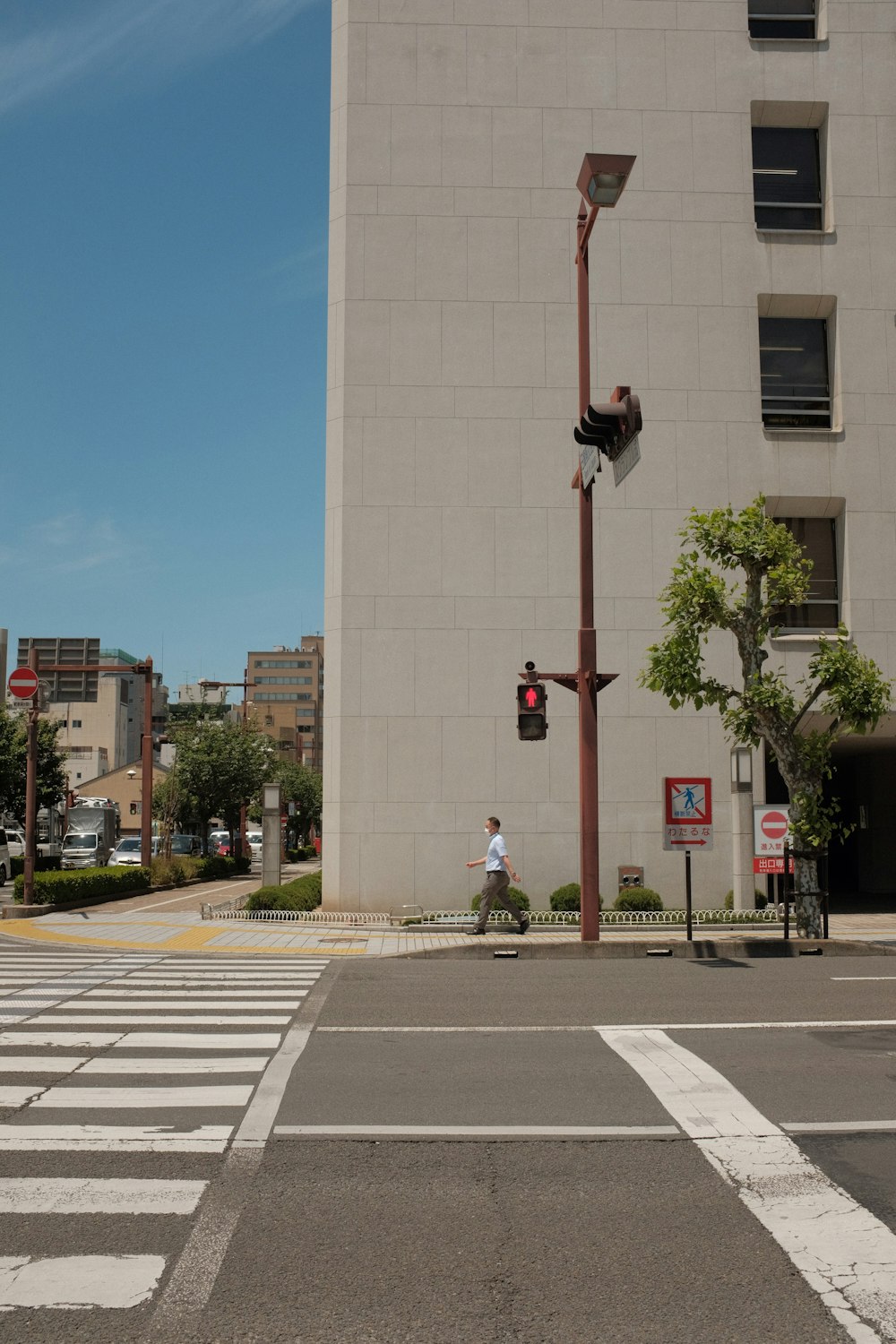 people walking on pedestrian lane during daytime