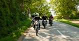 A group of motorcyclists riding through a sunlit forest trail, dust kicking up behind them.
