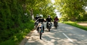 A group of riders enjoying a sunny day on their electric motorcycles along a scenic route.