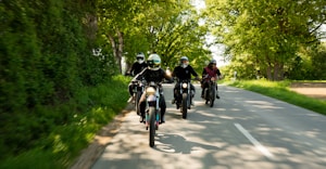 A group of four motorcyclists rides down a tree-lined road. The road is bathed in sunlight, and the surrounding trees create a lush, green backdrop. Each motorcyclist is wearing a helmet, and they appear to be enjoying the ride through the scenic, natural setting.