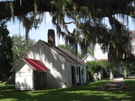 A charming, rustic house with a red roof is nestled among lush trees. Spanish moss hangs from large branches, creating a serene and picturesque scene. The house features white wooden walls, with a grassy lawn in the foreground and another building in the background.