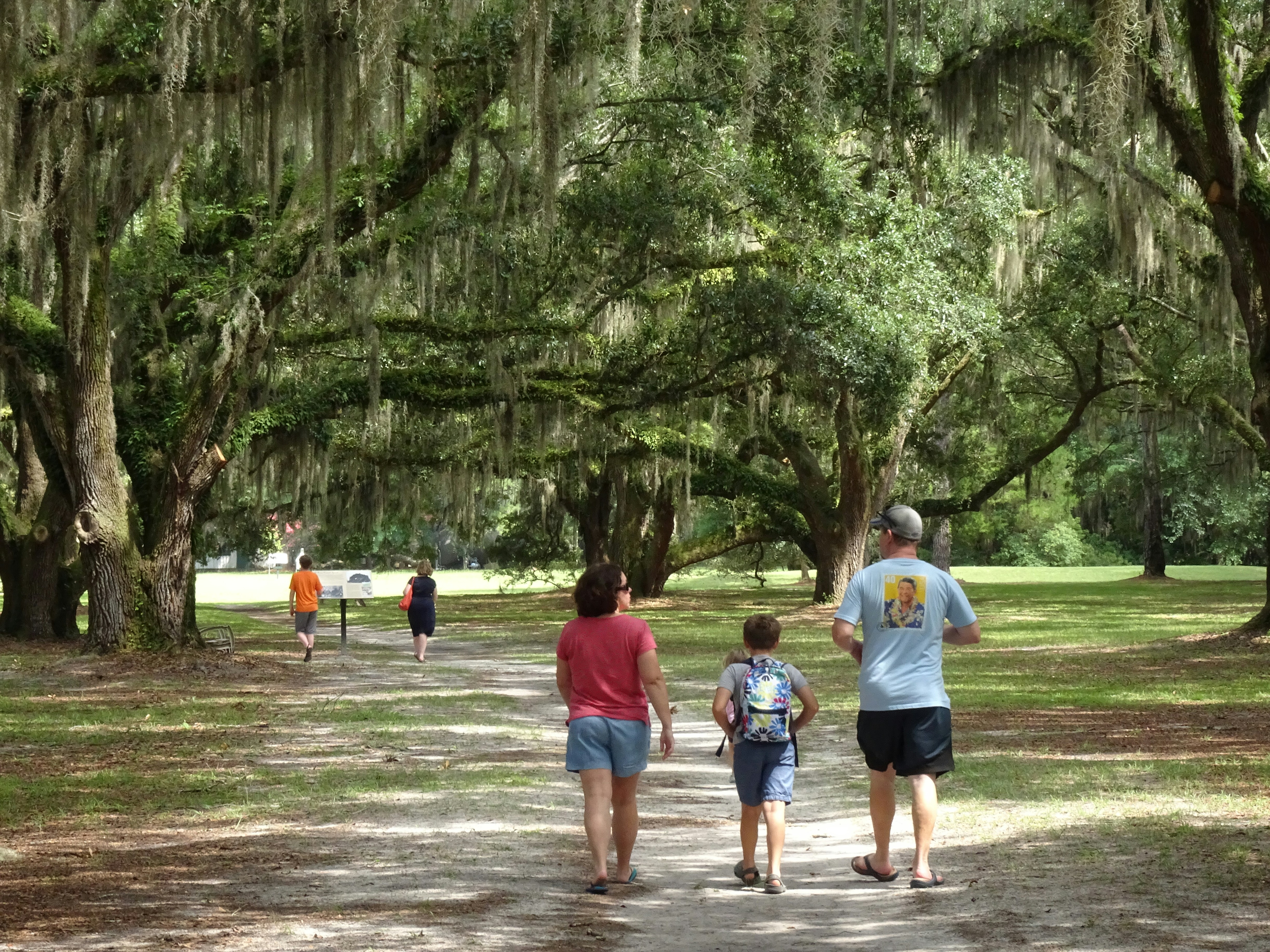 Live Oak County Park