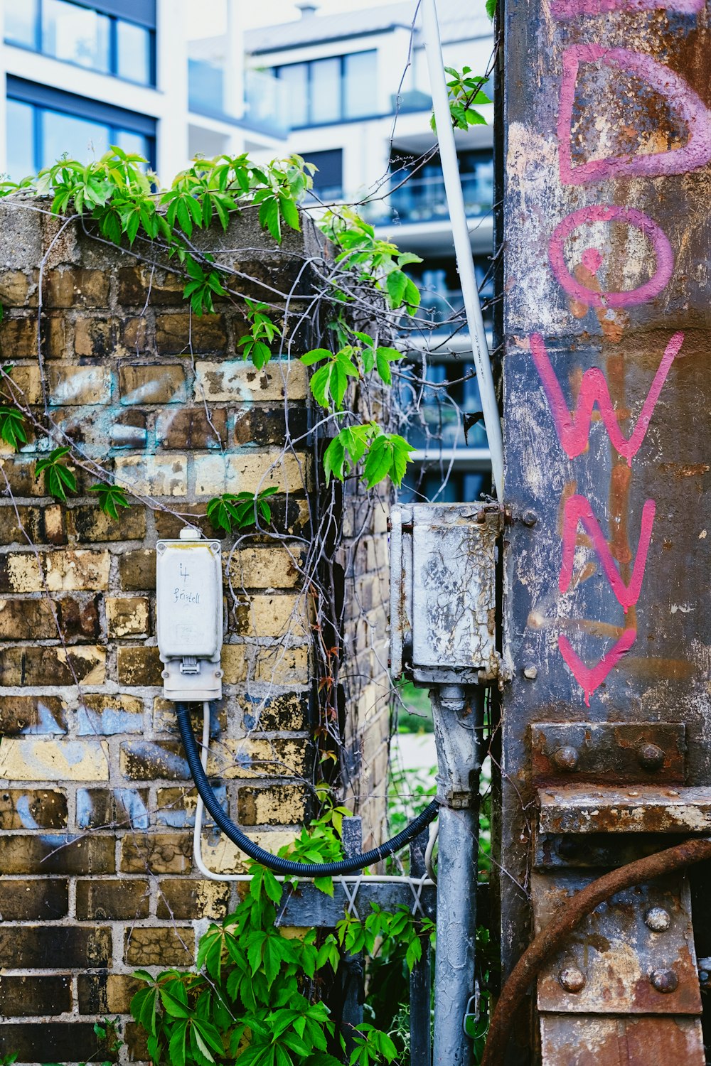 white electric socket on gray concrete wall