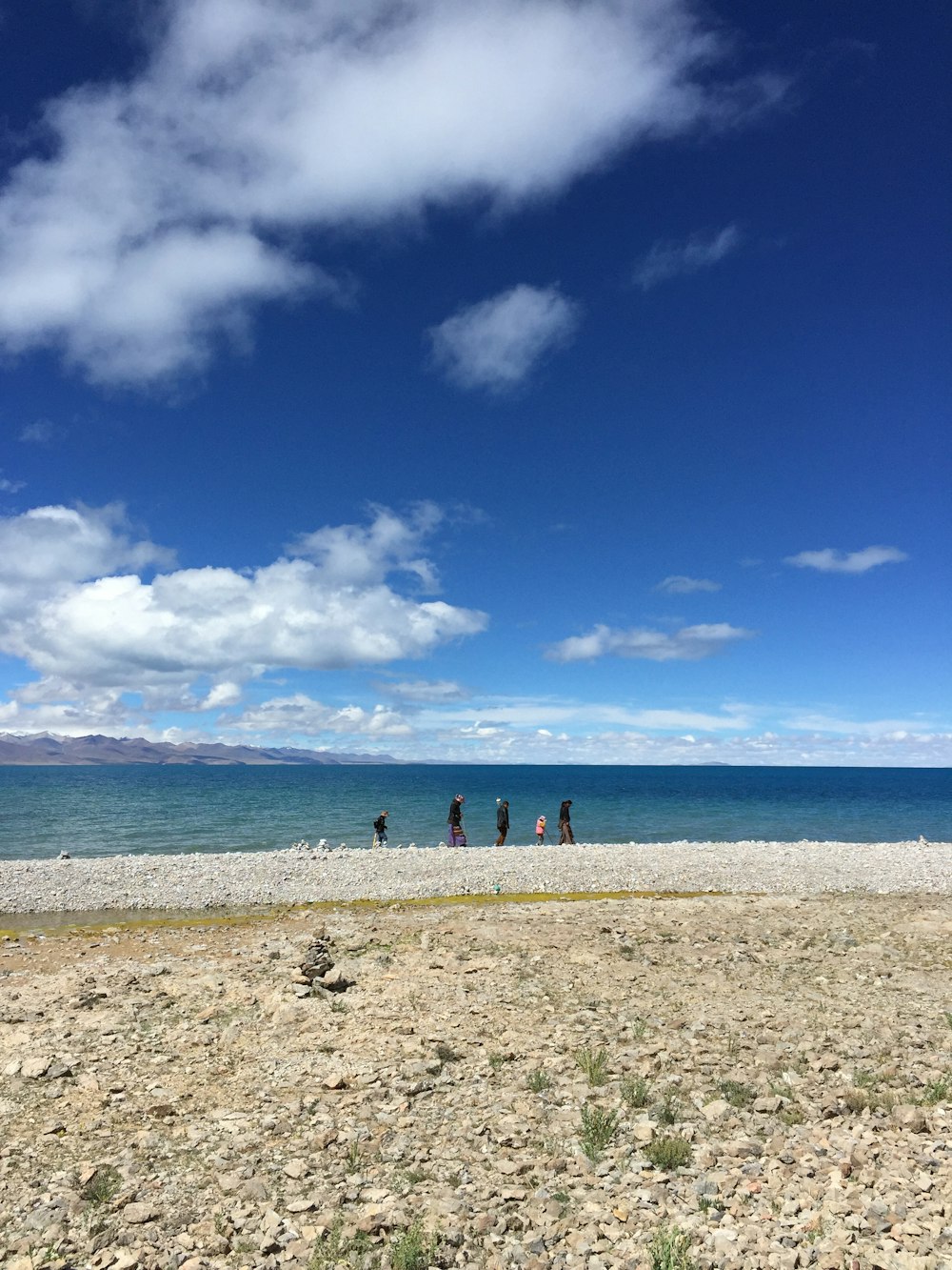 people on beach under blue sky and white clouds during daytime