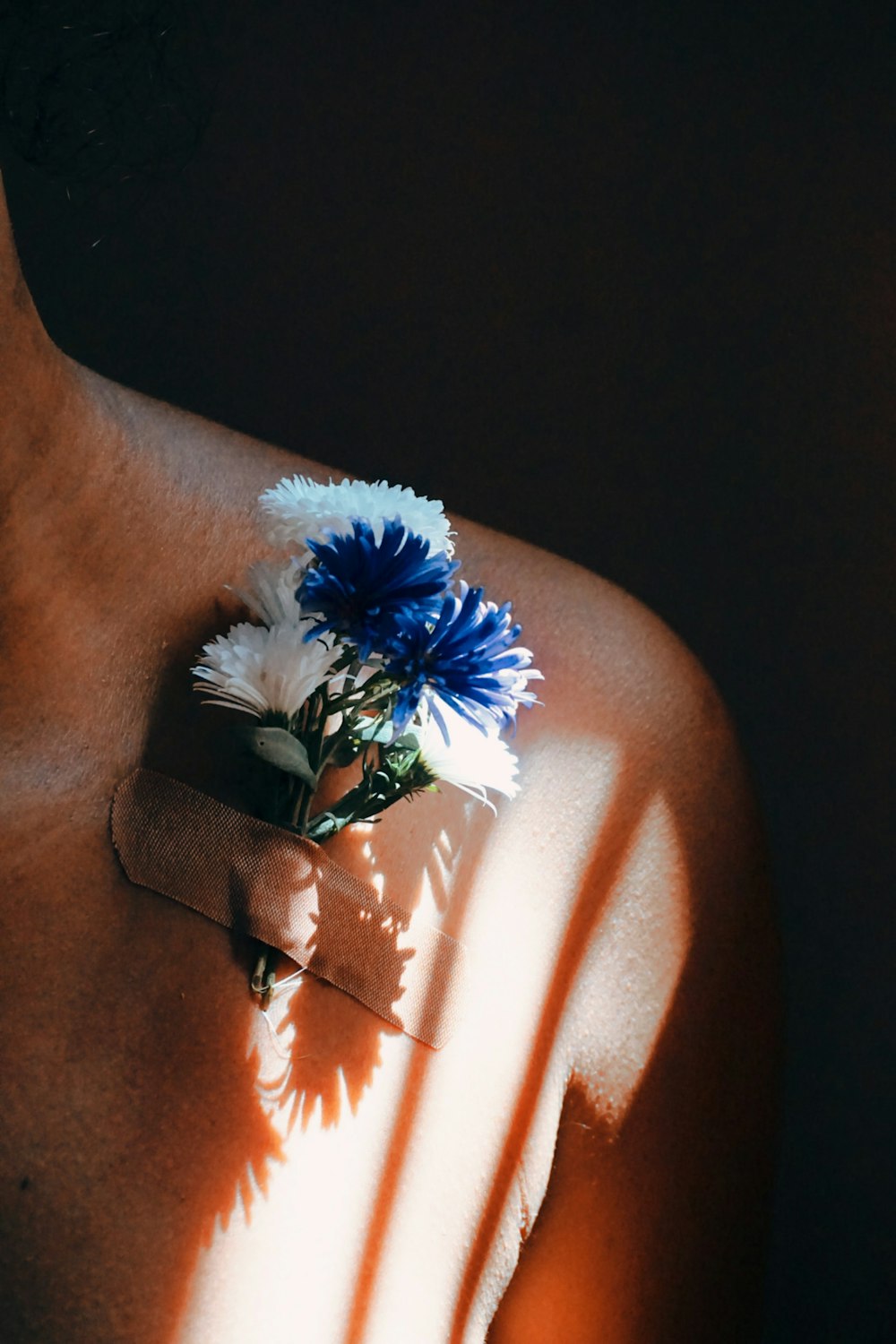 blue and white flower on persons lap