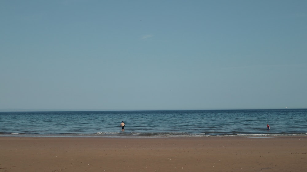 person in beach during daytime