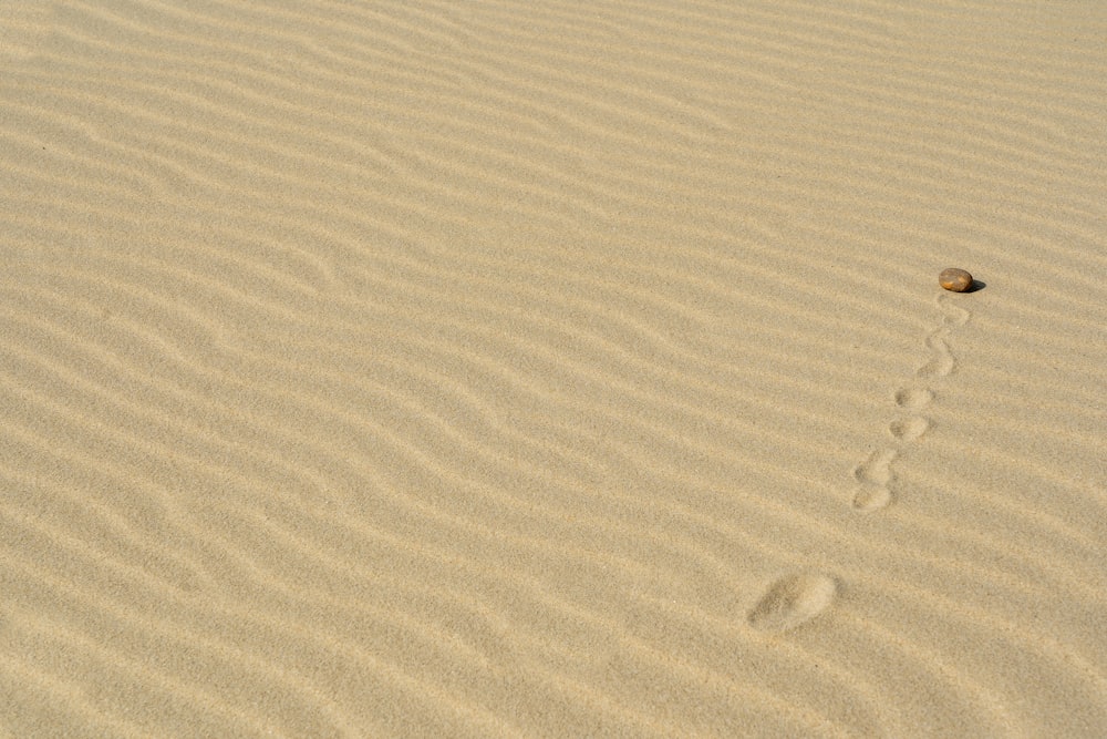 물방울이있는 하얀 모래