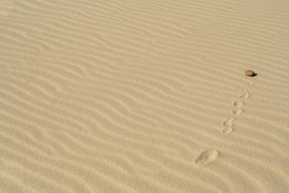 white sand with water droplets