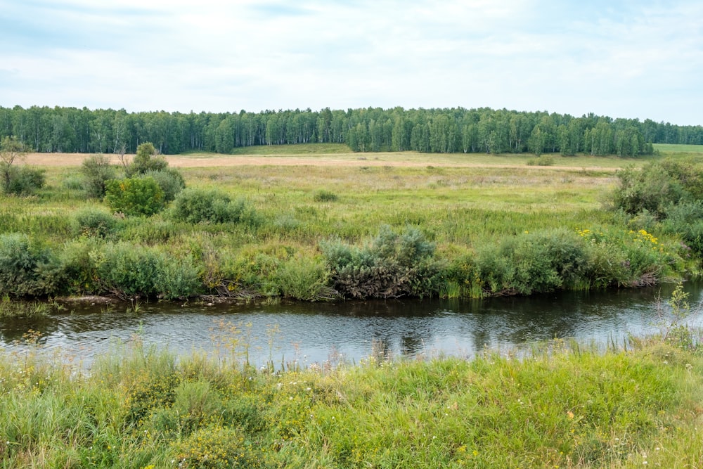 green grass field near river during daytime